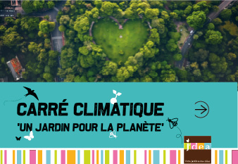 Reboisement urbain : une réponse verte aux défis des villes