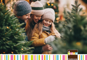 Bien choisir mon sapin de Noël