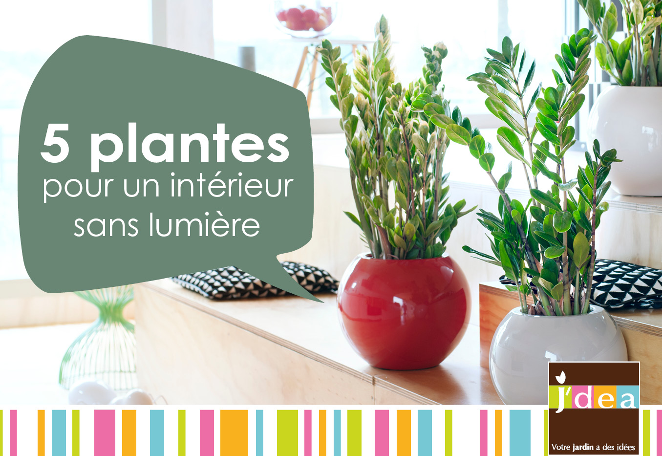 5 plantes pour un intérieur qui manque de lumière ?, Plante d'intérieur, Décoration intérieur, Décoration