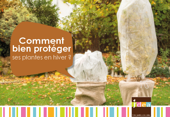 Comment bien protéger ses plantes en hiver ?