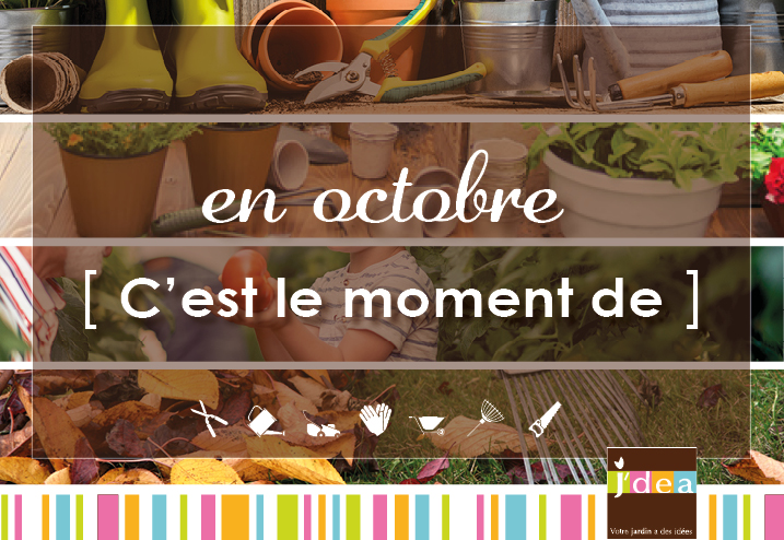 [ C’est le moment de ] - Octobre