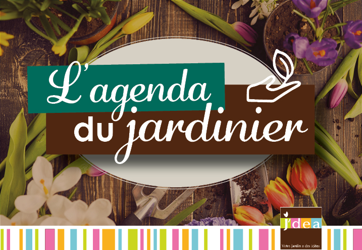 L'Agenda du Jardinier - Janvier
