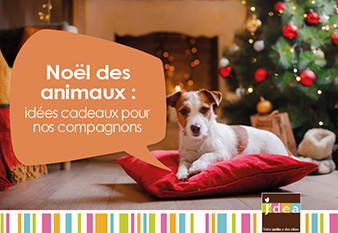 Doudou de Noël pour chat et chien - Petits Compagnons