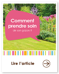 2023 09 VIGNETTES ARTICLES  JARDIN