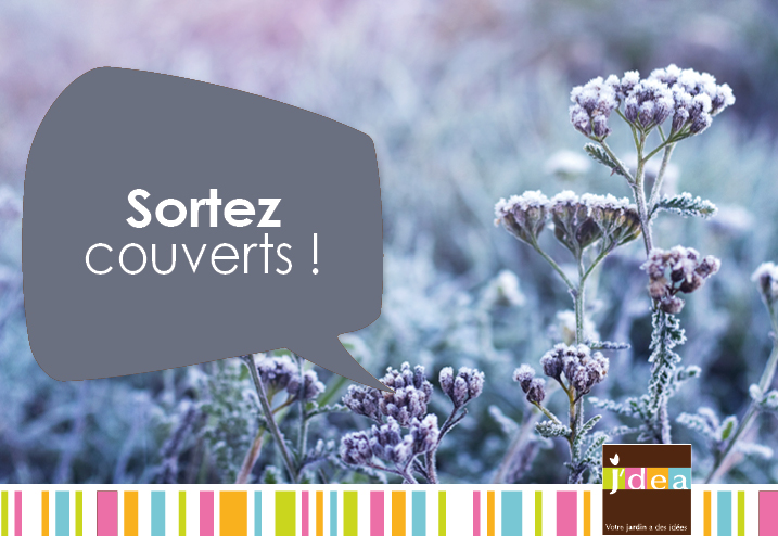 Sortez couverts !