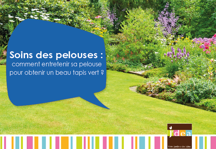 Soins des pelouses : comment entretenir sa pelouse pour obtenir un beau tapis vert ?