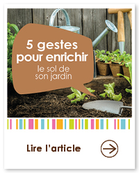 2023 09 VIGNETTES ARTICLES  JARDIN