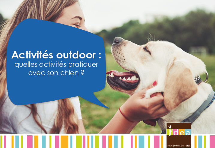 Activités outdoor : quelles activités pratiquer avec son chien ?