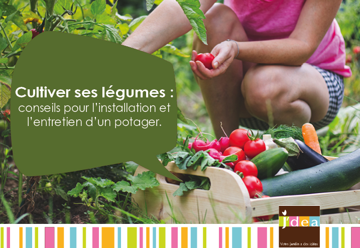 Cultiver ses légumes : conseils pour l’installation et l’entretien d’un potager