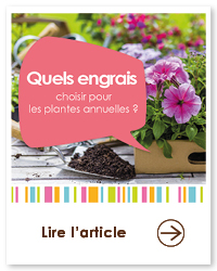 2023 09 VIGNETTES ARTICLES  JARDIN