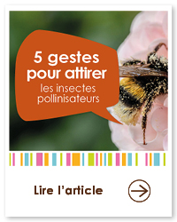 2023 09 VIGNETTES ARTICLES JARDIN