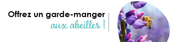 VISUELS RONGEURS3