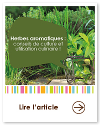 2023 09 VIGNETTES ARTICLES  JARDIN