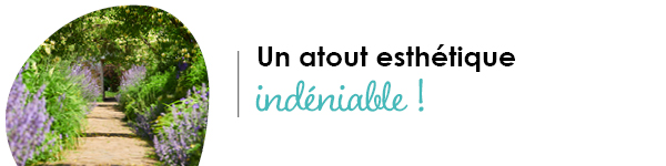 VISUELS RONGEURS2