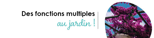 VISUELS RONGEURS2