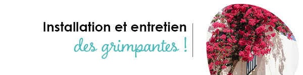 VISUELS RONGEURS3
