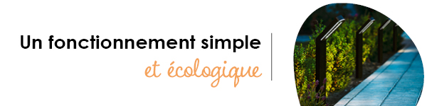 VISUELS RONGEURS2