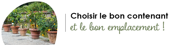 VISUELS RONGEURS2