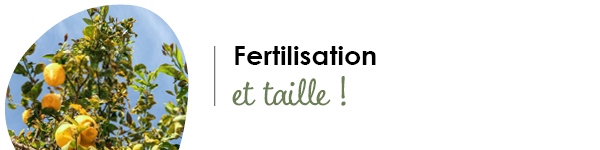VISUELS RONGEURS3