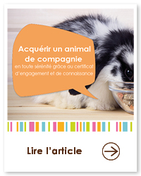 2023 09 VIGNETTES ARTICLES  JARDIN