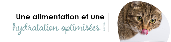 VISUELS RONGEURS2