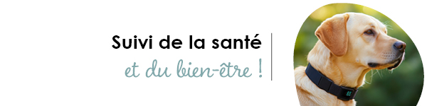 VISUELS RONGEURS3