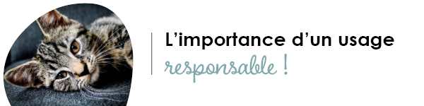 VISUELS RONGEURS3