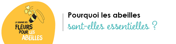 VISUELS RONGEURS2