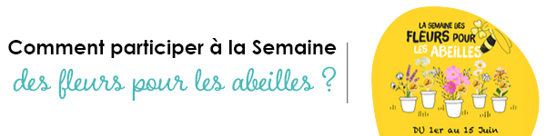 VISUELS RONGEURS2