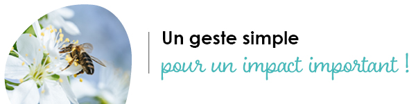 VISUELS RONGEURS3