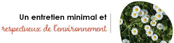 VISUELS RONGEURS2