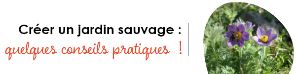VISUELS RONGEURS3
