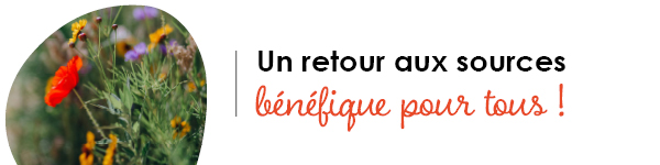 VISUELS RONGEURS3