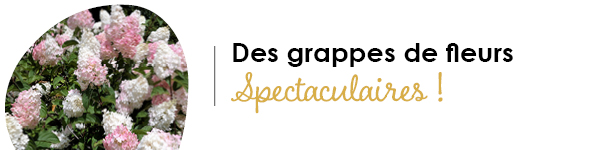 VISUELS 09