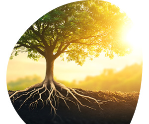 2025 11 VISUELS ARTICLE2