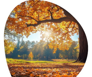 2025 11 VISUELS ARTICLE 1 6