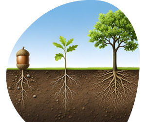 2025 11 VISUELS ARTICLE3