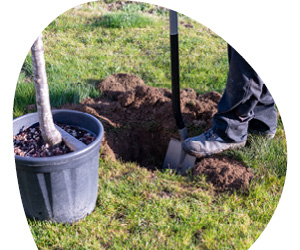 2025 11 VISUELS ARTICLE