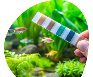 2025 11 VISUELS ARTICLE 2 2