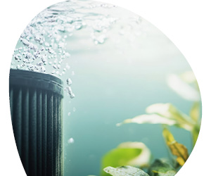 2025 11 VISUELS ARTICLE 2 3