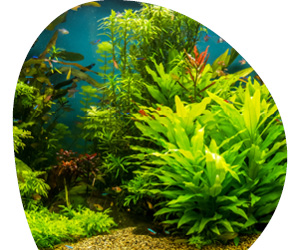 2025 11 VISUELS ARTICLE 2 6