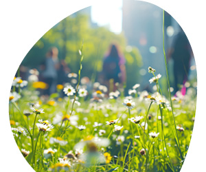 2025 11 VISUELS ARTICLE 3 3