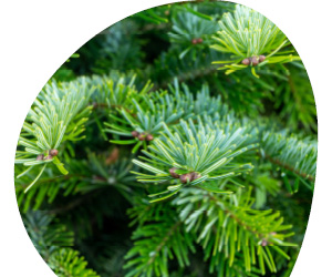 2025 12 VISUELS ARTICLE 1