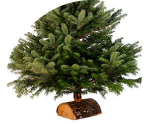 2025 12 VISUELS ARTICLE 1 3