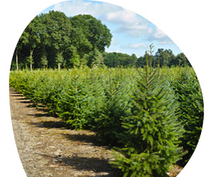 2025 12 VISUELS ARTICLE 1 4