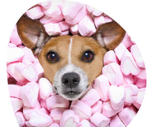 2025 12 VISUELS ARTICLE 2 3