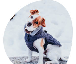 2025 12 VISUELS ARTICLE 2 4