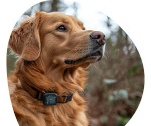 2025 12 VISUELS ARTICLE 2