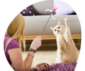 2025 12 VISUELS ARTICLE 2 6