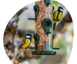 2025 12 VISUELS ARTICLE 3